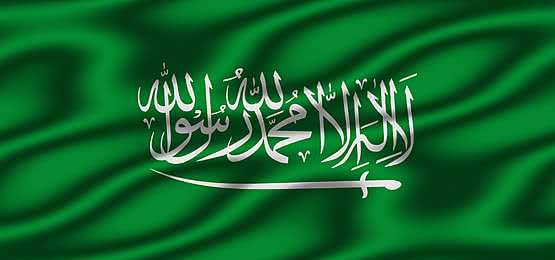 تاشيرة عبور السعودية